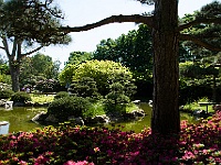 Japanischer Garten